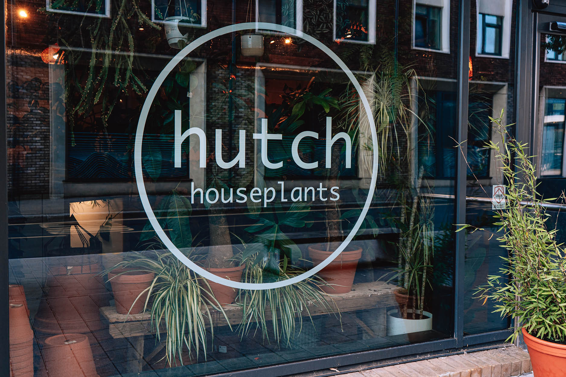Window graphics fro Hutch Houseplants